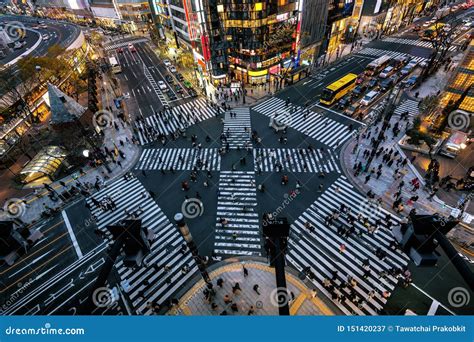 スカイクレストビュー東京：都市の空と未来の交差点